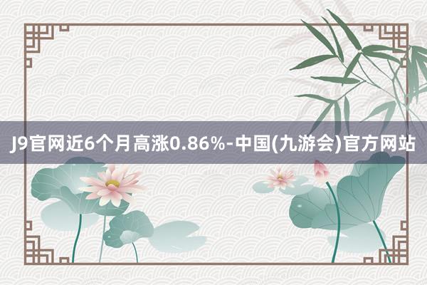 J9官网近6个月高涨0.86%-中国(九游会)官方网站