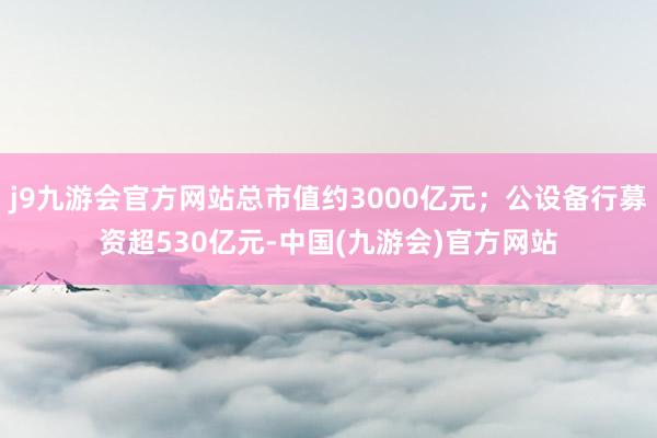 j9九游会官方网站总市值约3000亿元；公设备行募资超530亿元-中国(九游会)官方网站