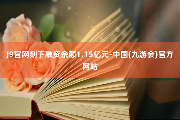 J9官网刻下融资余额1.15亿元-中国(九游会)官方网站