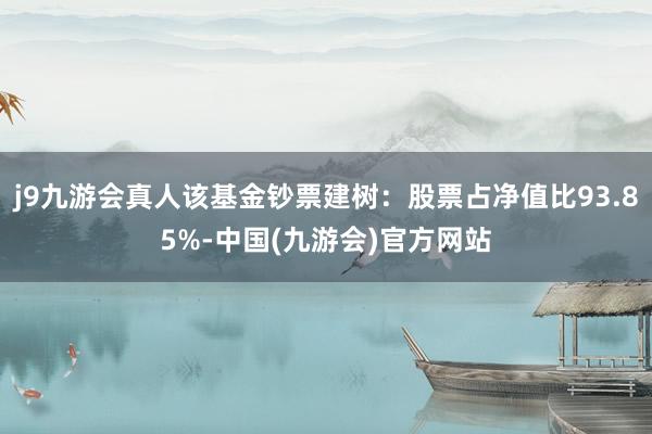 j9九游会真人该基金钞票建树：股票占净值比93.85%-中国(九游会)官方网站