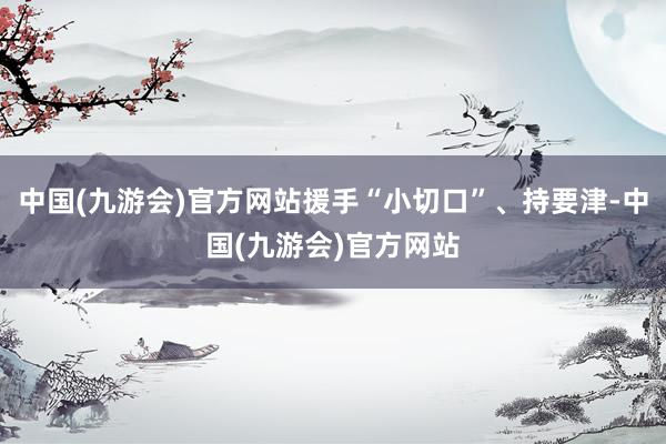 中国(九游会)官方网站援手“小切口”、持要津-中国(九游会)官方网站